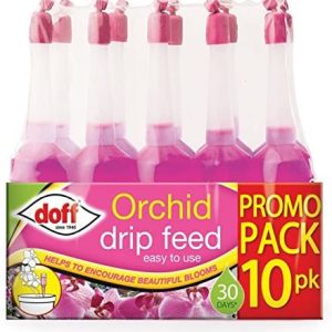 Doff 10 Pack Orchid Drip Feeders – Each Lasts 30 Days