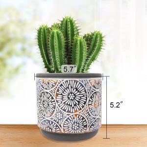 Vivimee 2 Pack Terra Cotta Plant Pots, 5.7” Ceramic Pots for Plants, Flower Pot Set with Drainage Hole for Cactus, Succulent, Bamboo, Herbs, Large Clay Pottery Garden Bonsai Indoor & Outdoor
