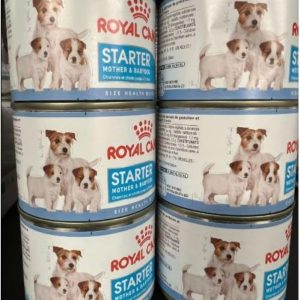 ROYAL CANIN Starter Mousse Mother & Babydog – 12 x 195 g