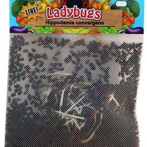 1500 Live Ladybugs – Good Bugs – Ladybugs – Guaranteed Live Delivery!