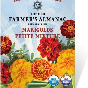 The Old Farmer’s Almanac Marigold Seeds (Petite Mixture) – Approx 200 Flower Seeds – Premium Non-GMO, Open Pollinated, USA Origin